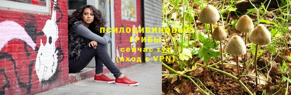 трава Абинск