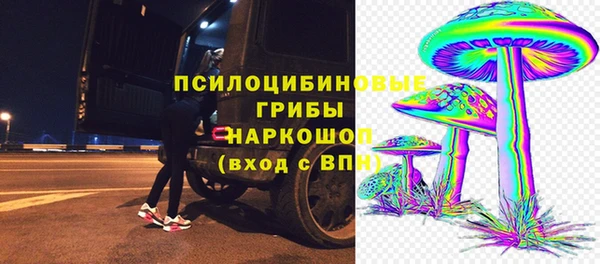 ешки Абаза
